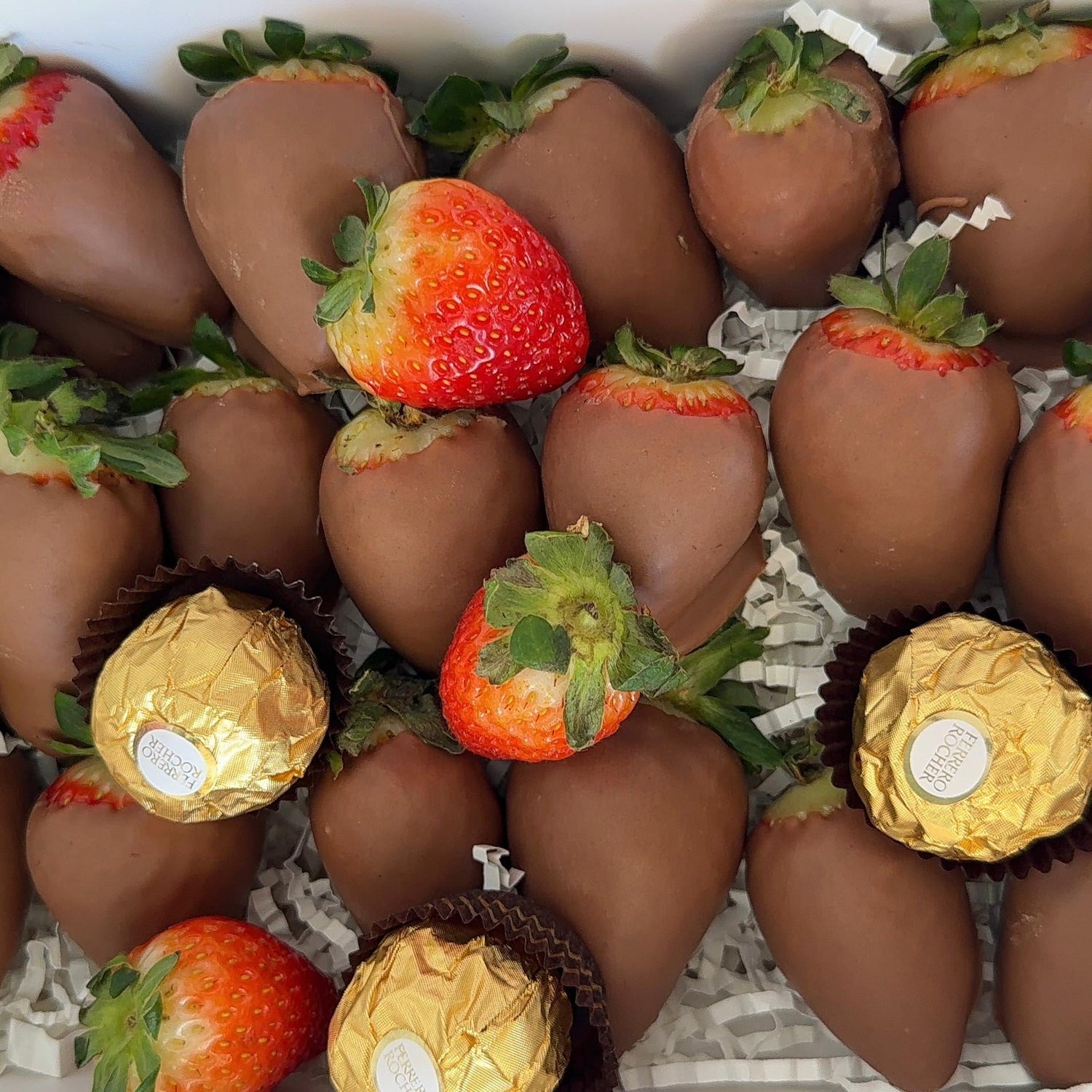 Sweet Suprises